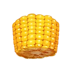 icon 5