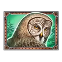 icon 5