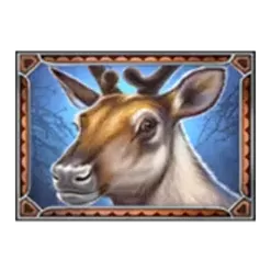 icon 2