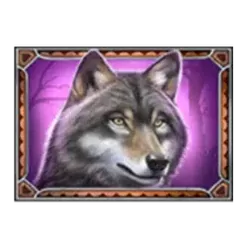 icon 4