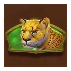 icon 5