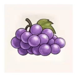 icon 5