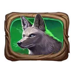 icon 4