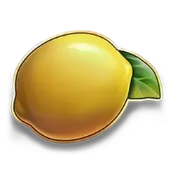 icon 6