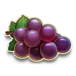 icon 5