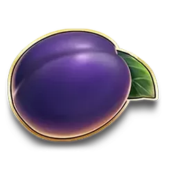 icon 5