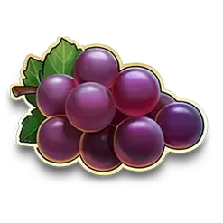 icon 6