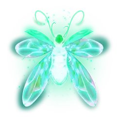 icon 11