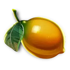 icon 6