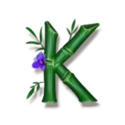 icon 6