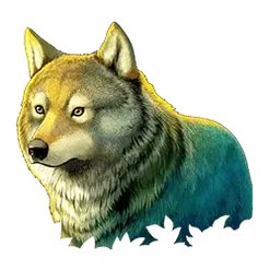 icon 2