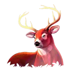 icon 3