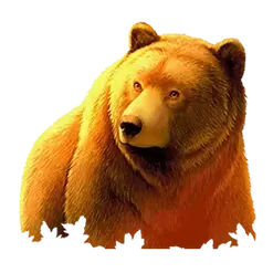 icon 1