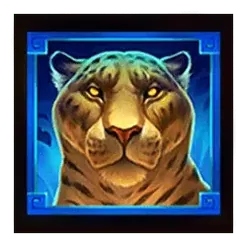 icon 3