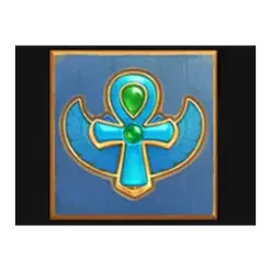 icon 5