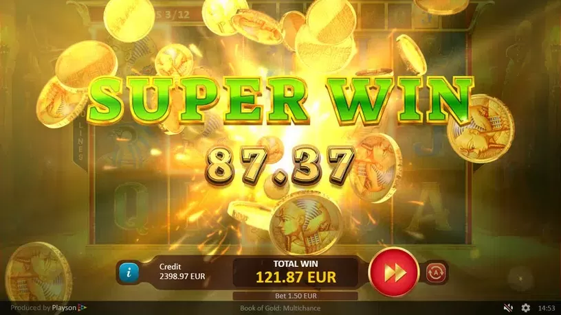 Book of Gold Multichance slot screenshot 9
