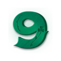 icon 13