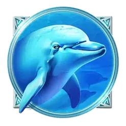 icon 5