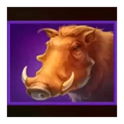 icon 6