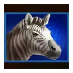 icon 5