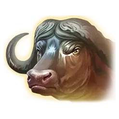 icon 4