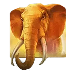 icon 1