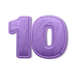 icon 10