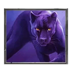 icon 7