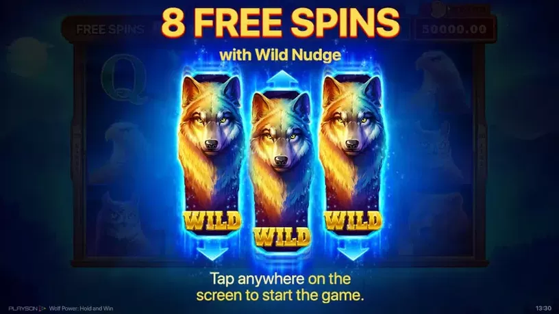 Wolf Power: Hold and Win slot screenshot 7