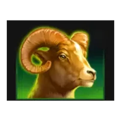 icon 4