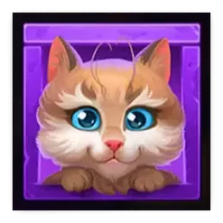 icon 4