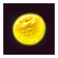 icon 6