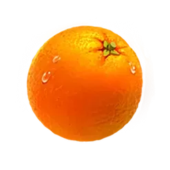 icon 6