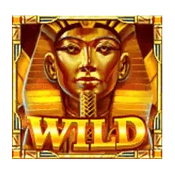 icon 1