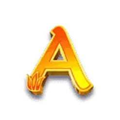 icon 6