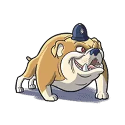 icon 3