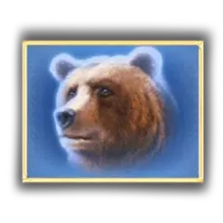 icon 4