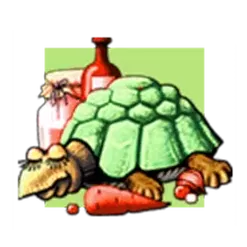 icon 1