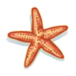 icon 4