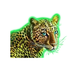 icon 3