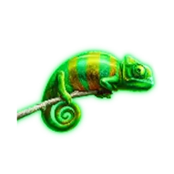 icon 5