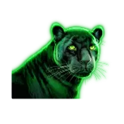 icon 4