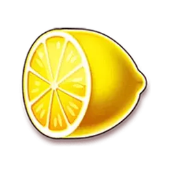 icon 6