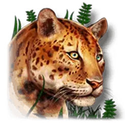 icon 5