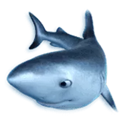 icon 3