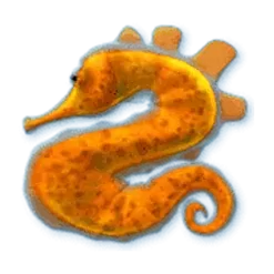 icon 5