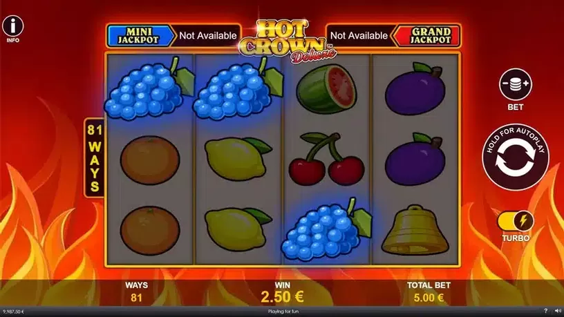 Hot Crown Deluxe slot screenshot 3