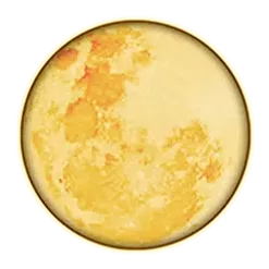 icon 12