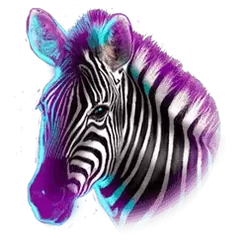 icon 2