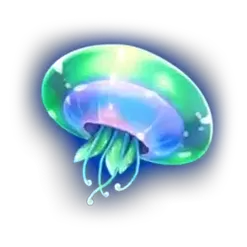 icon 5